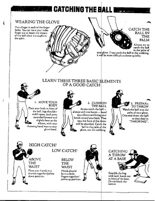 thumbnail of Softball-Basics