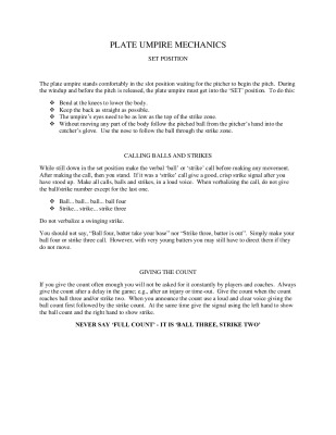 thumbnail of The-Plate-Umpire